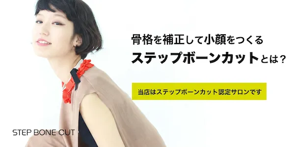 復元ドライヤーPro